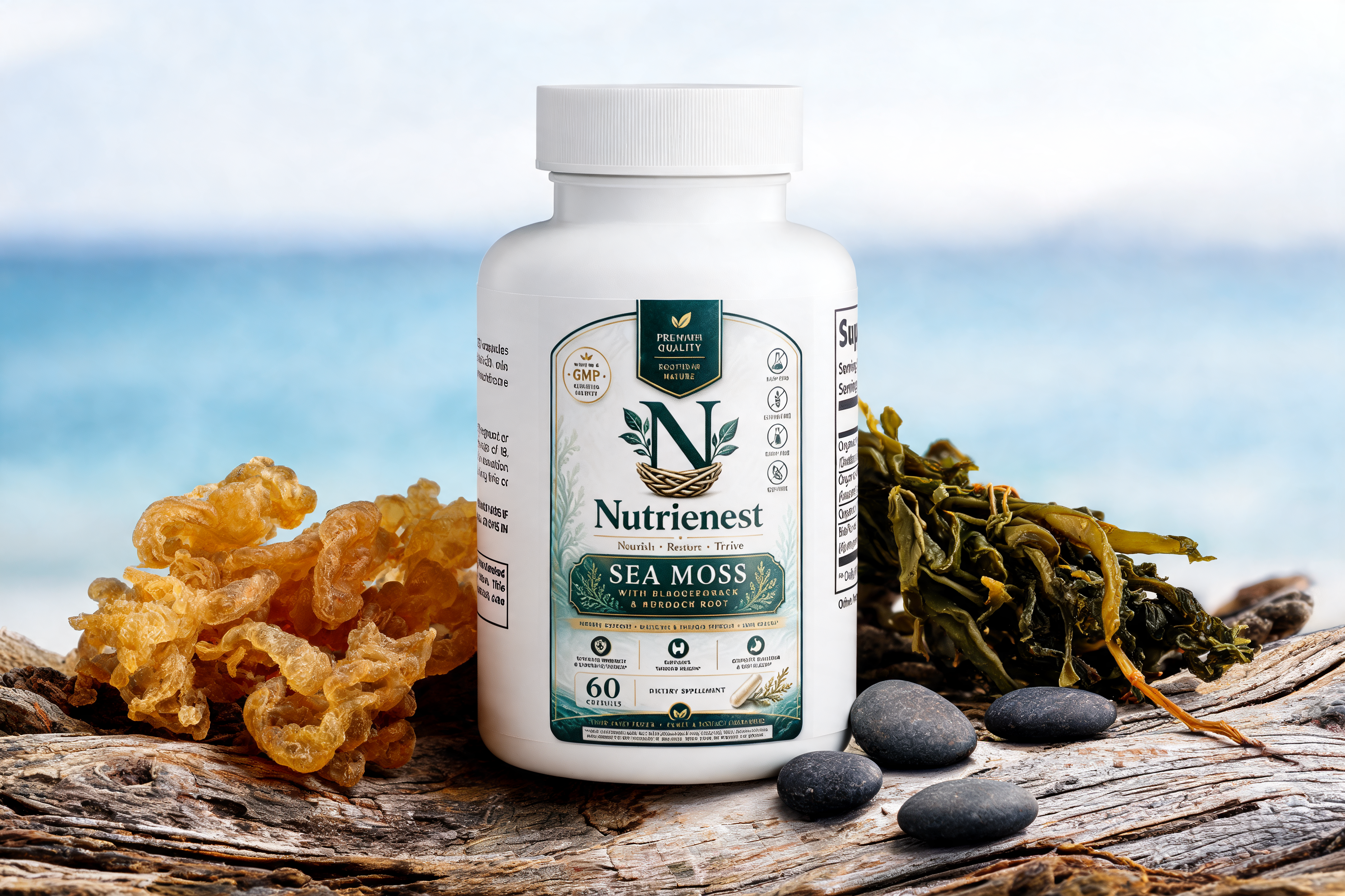 Sea Moss: The Complete Guide to Benefits and Uses