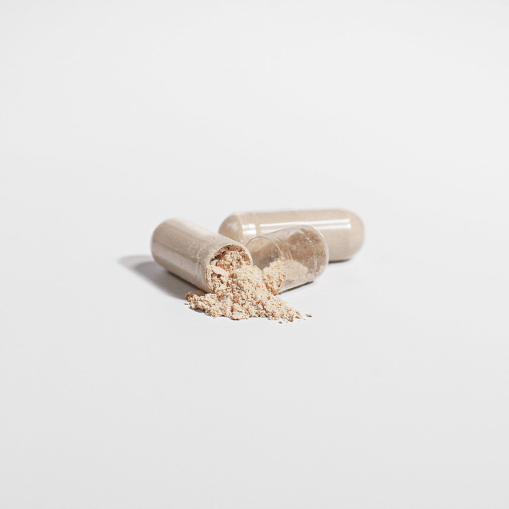 Nutrienest Lion's Mane Mushroom Capsules | Memory, Focus & Brain Health Support Nutrienest